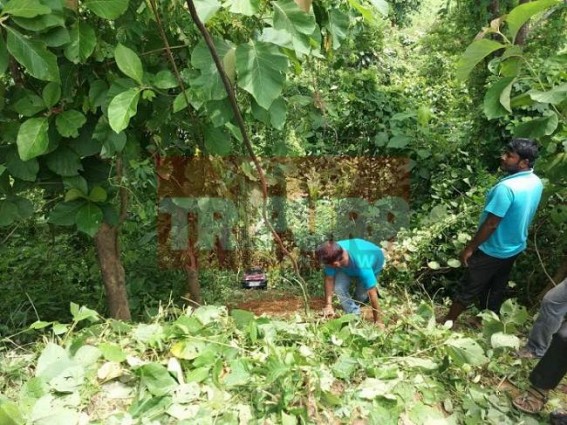 Reckless driving caused serious accident Reckless driving caused serious accident